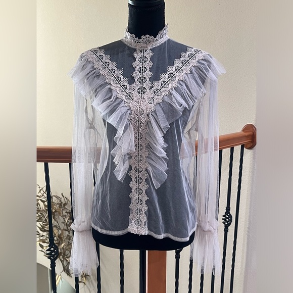 L. I. F. E VICTORIAN STYLE TULLE BLOUSE W/ LACE TRIM, BLUSH SIZE L - Picture 1 of 10